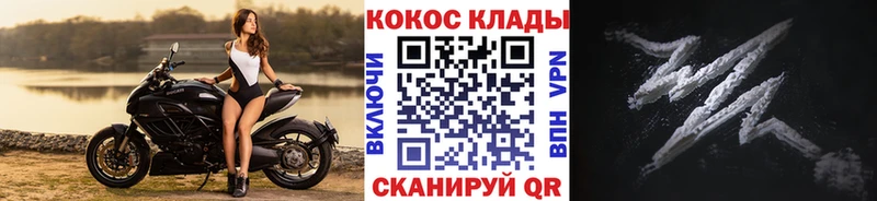 COCAIN Fish Scale Тбилисская