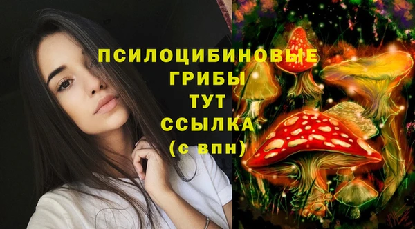 первитин Михайловск