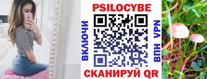 Псилоцибиновые грибы мухоморы mega ссылка Тбилисская